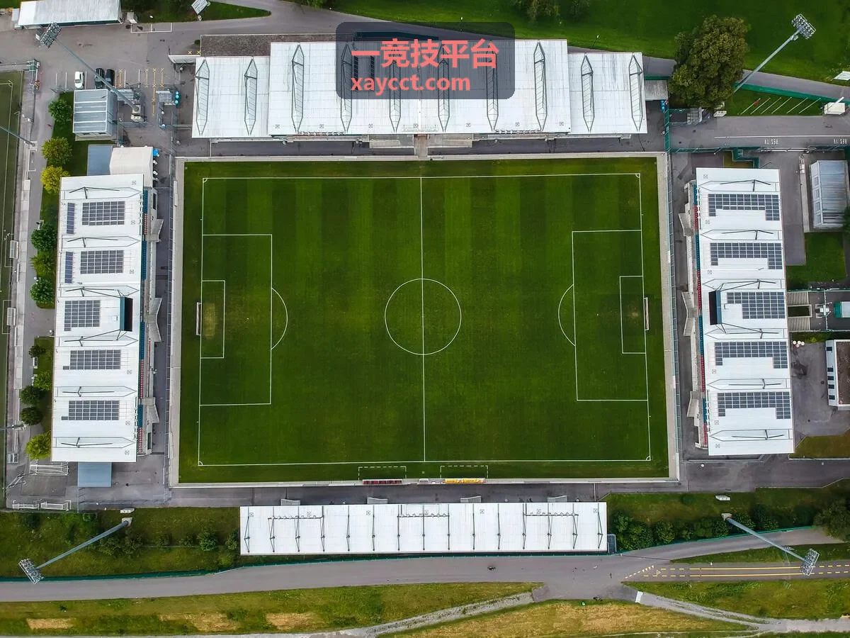 一竞技平台青训选手头像