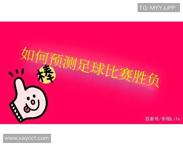 足球比赛规则概述及其对比赛公平性的影响分析